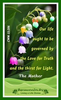 Our Life Governance.jpg